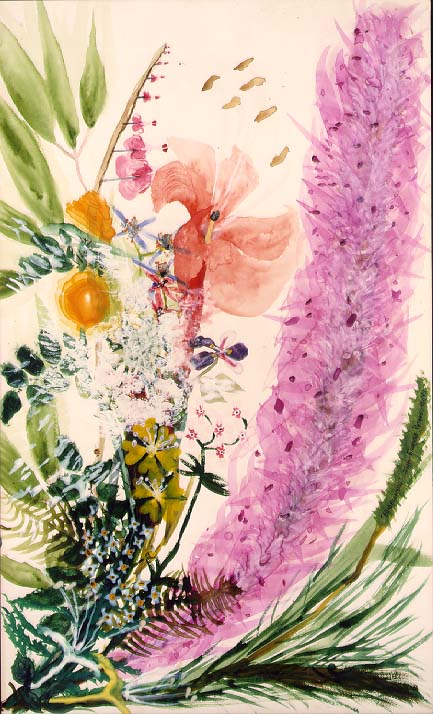 Wildflowers